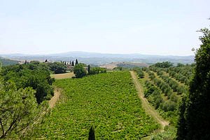 Farmhouses Castelfiorentino