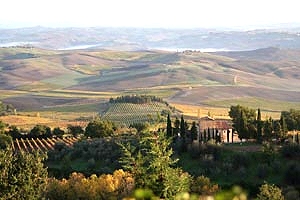 Colonica Brunello