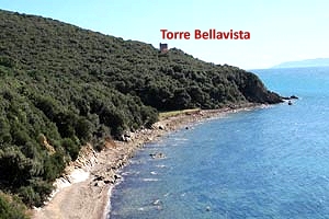 Tower Bellavista