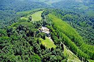 Villa Palaia
