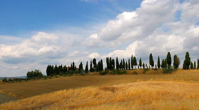 Chianti Villas